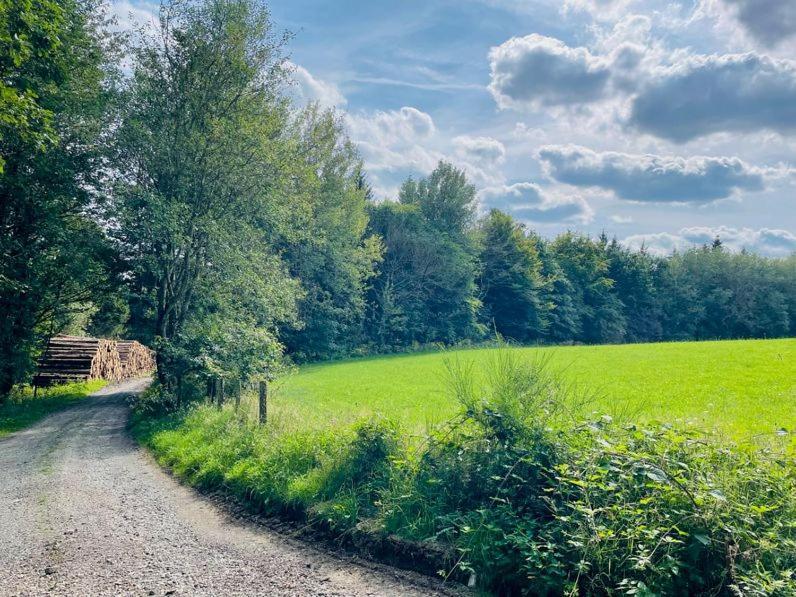Landschaftstraeume Daire Simmerath Dış mekan fotoğraf